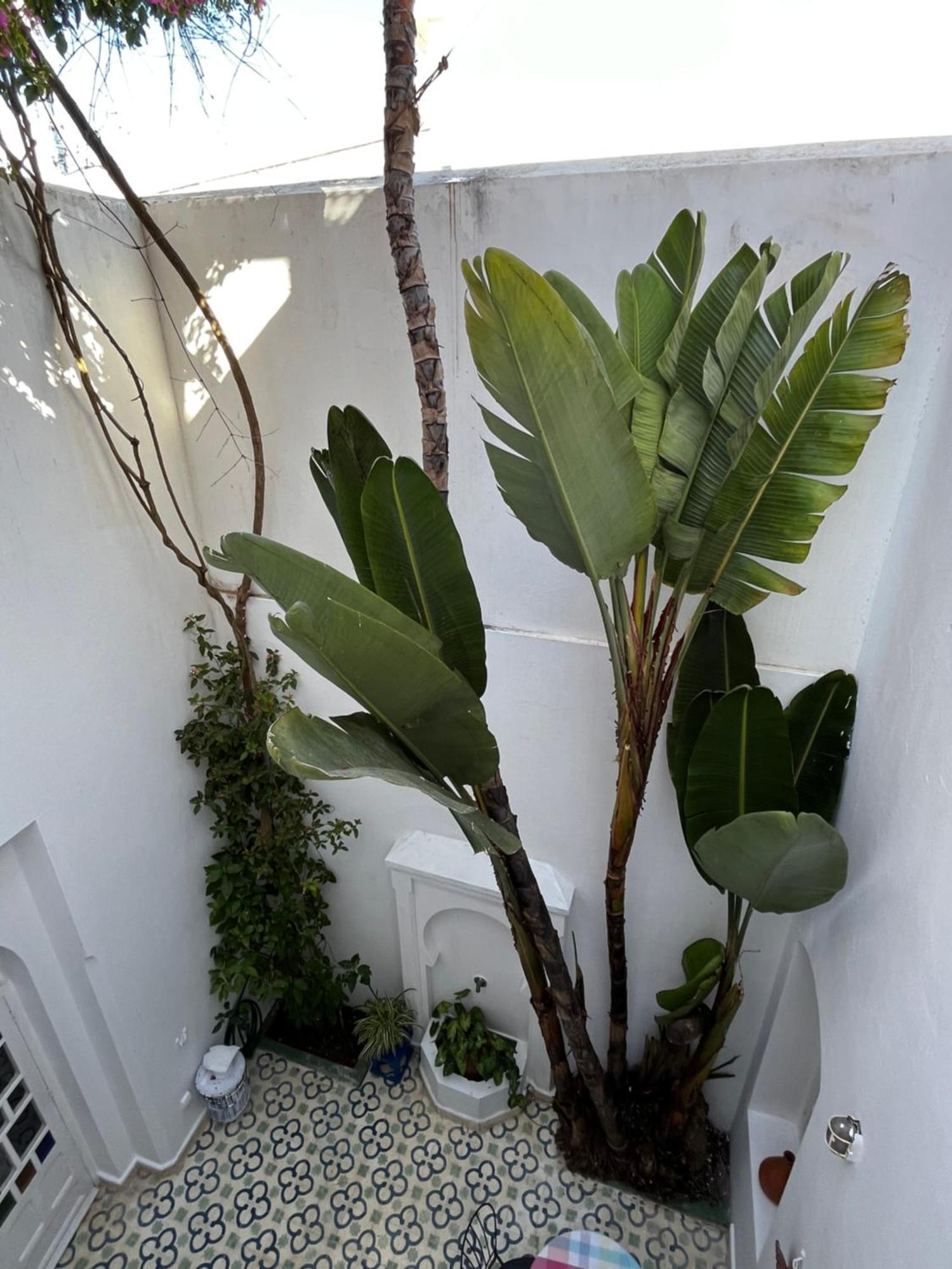 Casabonita Vila Arzila Quarto foto